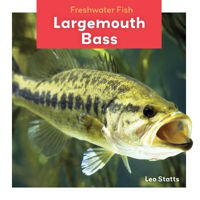 Largemouth Bass - Statts, Leo