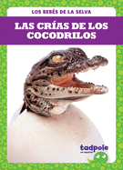 Las Cras de Los Cocodrilos (Crocodile Hatchlings)