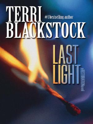 Last Light - Blackstock, Terri