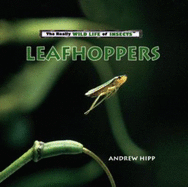 Leafhoppers - Hipp, Andrew