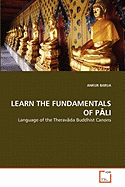 Learn the Fundamentals of Pli