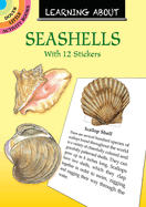 Learning about Seashells