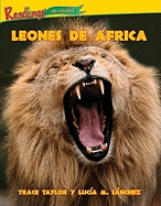 Leones de Frica (Lions of Africa)