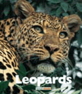Leopards - McDonald, Mary Ann