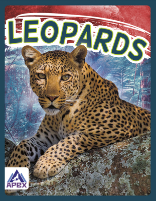 Leopards - Geister-Jones, Sophie
