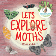 Let's Explore Moths: An urban wildlife explorers book