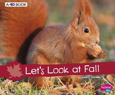 Let's Look at Fall: A 4D Book - Schuette, Sarah L