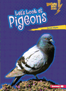 Lets Look at Pigeons