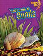 Lets Look at Snails