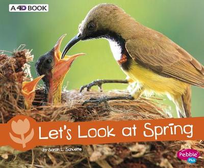 Let's Look at Spring: A 4D Book - Schuette, Sarah L