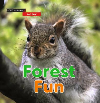 Let's Read: Forest Fun - Clarke, Zo
