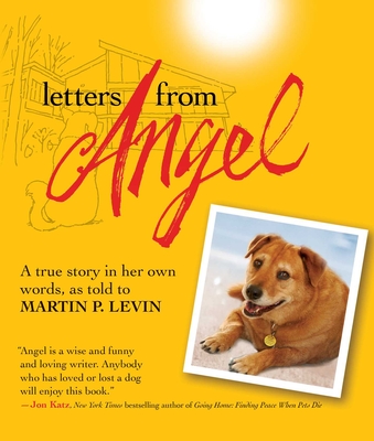 Letters from Angel: A True Story in Her Own Words - Levin, Martin P