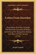 Letters From Snowdon: Descriptive Of A Tour Through The Northern Counties Of Wales, Containing The Antiquities, History, And State Of The Country (1770)