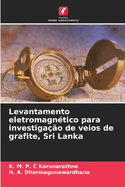 Levantamento eletromagn?tico para investiga??o de veios de grafite, Sri Lanka