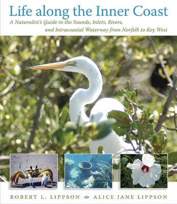 Life Along the Inner Coast: A Naturalist's Guide to the Sounds, Inlets, Rivers, and Intracoastal Waterway from Norfolk to Key West - Lippson, Robert L, Professor, and Lippson, Alice Jane, Professor