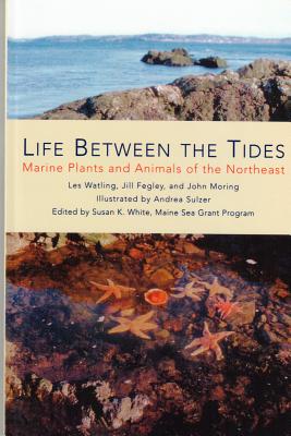 Life Between the Tides: Marine Plants and Animals of the Northeast - Watling, Les, and Fegley, Jill, and Moring, John