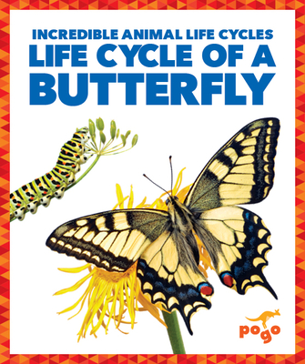 Life Cycle of a Butterfly - Kenney, Karen