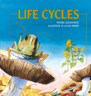 Life Cycles