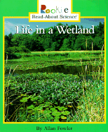 Life in a Wetland