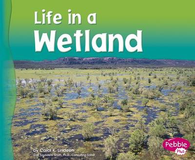 Life in a Wetland - Lindeen, Carol K