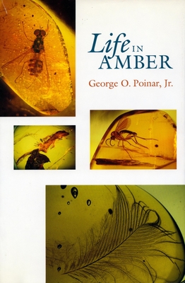Life in Amber - Poinar, George O