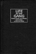 Life in the Gang: Family, Friends, and Violence