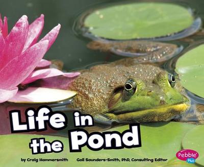 Life in the Pond - Hammersmith, Craig