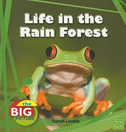 Life in the Rain Forest