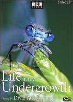 Life in the Undergrowth [2 Discs] - 