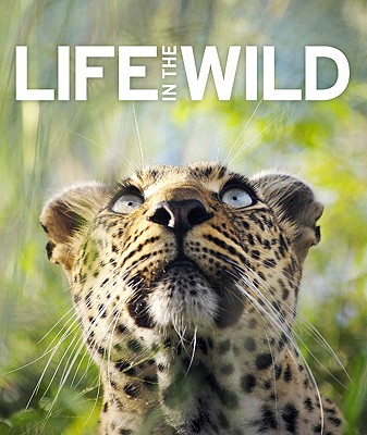 Life in the Wild - DK Publishing