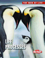 Life Processes