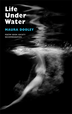 Life Under Water - Dooley, Maura