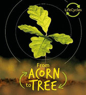 Lifecycles - Acorn to Tree