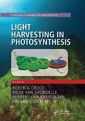 Light Harvesting in Photosynthesis - Croce, Roberta (Editor), and van Grondelle, Rienk (Editor), and van Amerongen, Herbert (Editor)