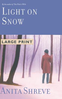 Light on Snow - Shreve, Anita