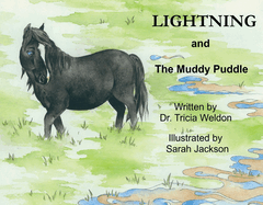 Lightning and the Muddy Puddle