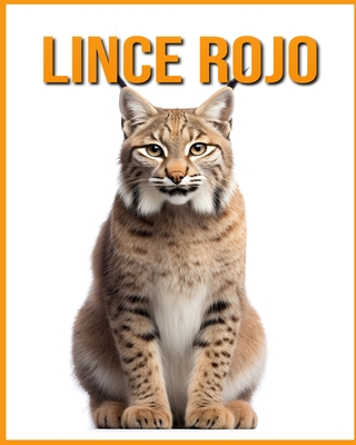 Lince rojo: La gu?a esencial de este incre?ble animal con fotos incre?bles - Vane, Isla