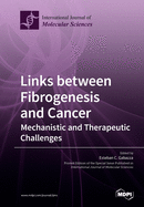 Links between Fibrogenesis and Cancer: Mechanistic and Therapeutic Challenges