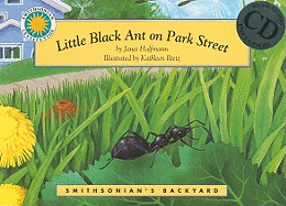 Little Black Ant on Park Street