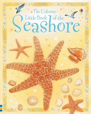Little Book of the Seashore - Howell, Laura