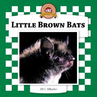 Little Brown Bats - Wheeler, Jill C