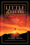 Little by Little: A Journey