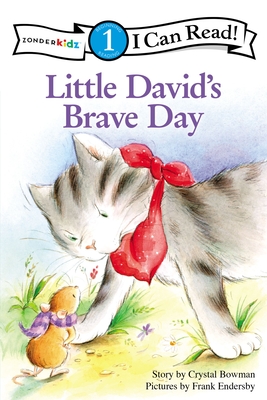 Little David's Brave Day: Level 1 - Bowman, Crystal