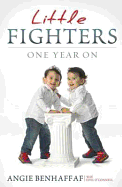 Little Fighters: One Year On