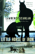 Little Horse of Iron
