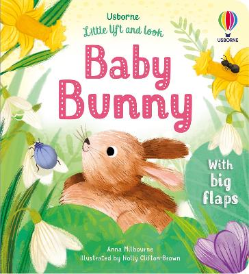 Little Lift and Look Baby Bunny - Milbourne, Anna