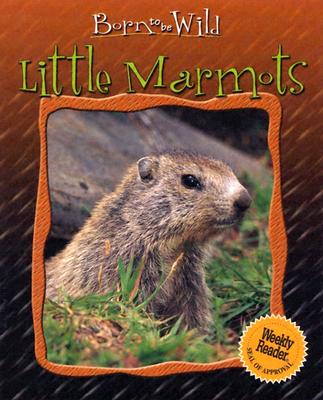 Little Marmots - Royer, Anne