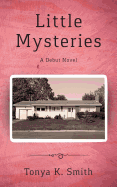 Little Mysteries: A Debut Novel