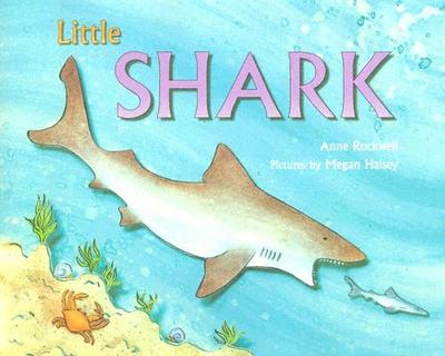 Little Shark - Rockwell, Anne