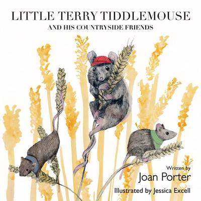 Little Terry Tiddlemouse and His Countryside Friends - Porter, Joan